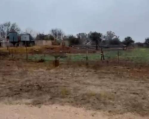 Campo para Cría, Cuidado y Reproducción de Ganado Equino.-