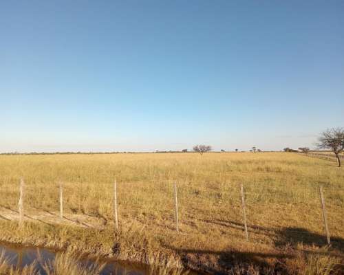 450 Ha en Venta Norte de Córdoba