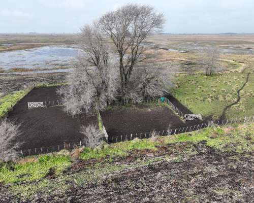 Crotto, Tapalqué, Buenos Aires - 440 Ha