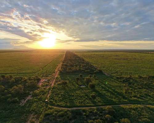 Pcia. de Salta - la Estrella 2125 Has