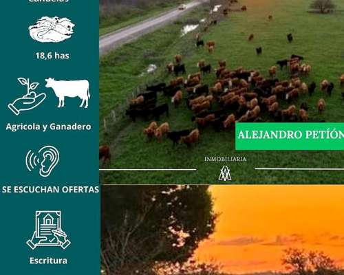 Campo en Alejandro Petión