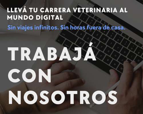 Técnico/a Comercial con Perfil de Desarrollo de Negocios