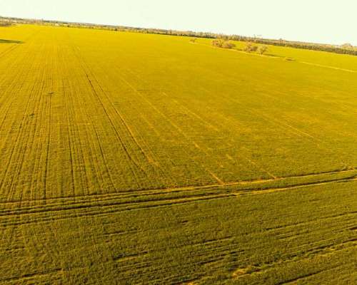 Campo en Venta Rafaela
