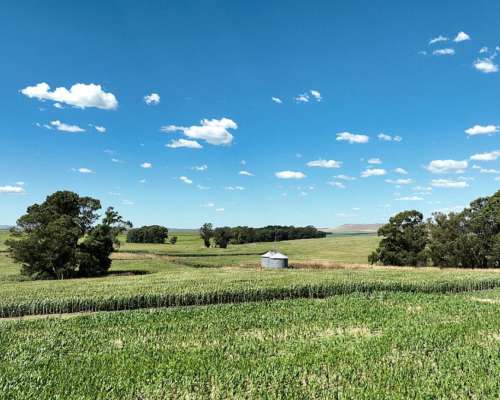 851 Has. Campo Agrícola en Tandil
