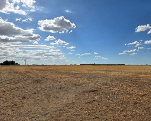 800 Hectareas en Venta