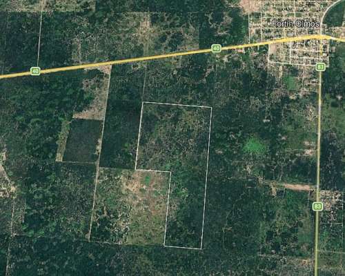 Campo Ganadero de 150 Has en Fortin Olmos