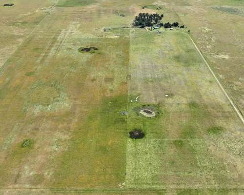Rauch, Buenos Aires - 60 Ha