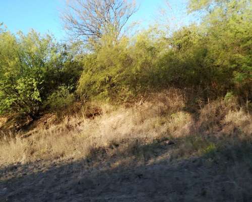 780 Hectareas a 5 km de Añatuya Pegadas al Canal Monte Facil