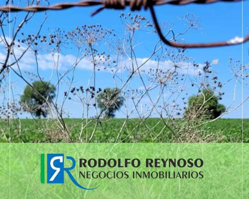 Buscamos Campos en Entre Ríos