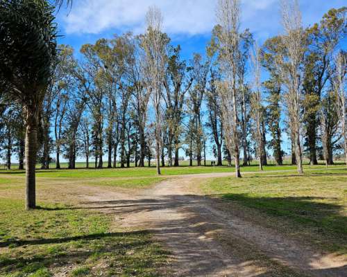 200 Hectáreas Mixtas. Sobre Autopista.