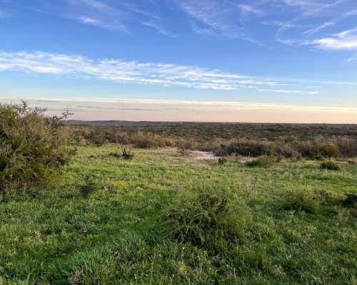 900 Hectareas Monte San German
