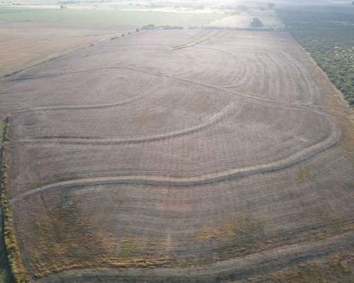 250 Hectáreas de Campo Agrícola en Gualeguaychú, Sobre Ripio