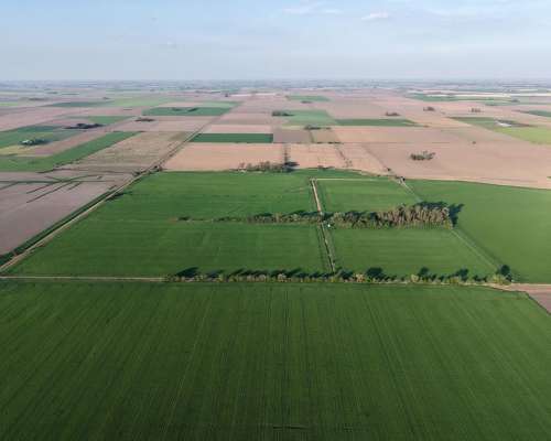 29,5 Ha Cañada de Gomez