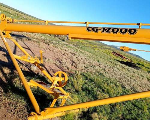 Chimango EG-12000 Grosspal Usado