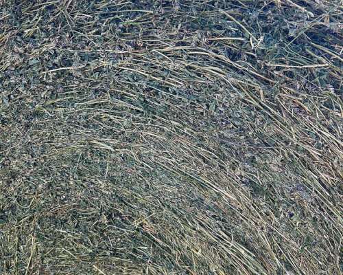 Vendo Rollos de Alfalfa