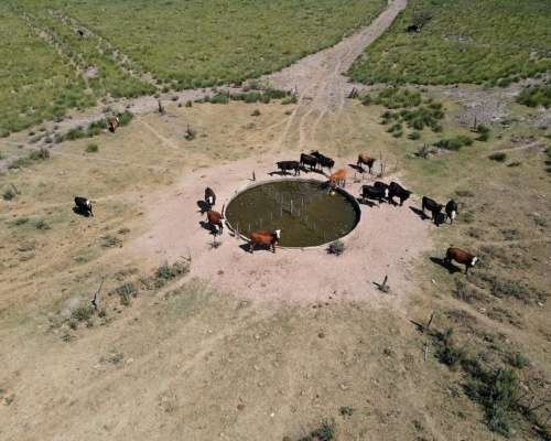 Sf0211 Venta Campo Mixto 595 Has. San Jeronimo Santa FE