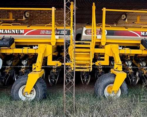 Ascanelli Magnum 18 a 52, 2013. Doble Fertilización