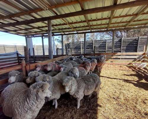 Excelente Campo 13 Has con Cabañas en Maldonado, Uruguay