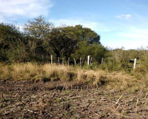 Campo Mixto Dpto. la PAZ