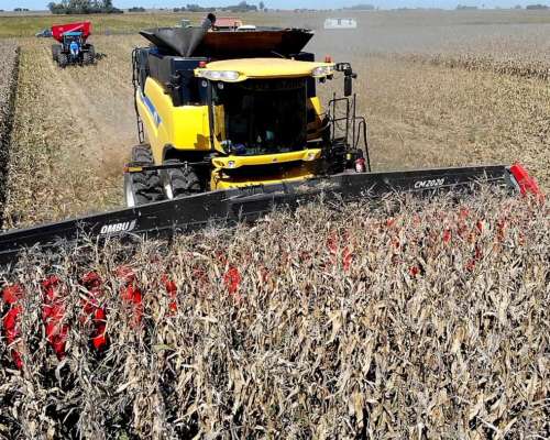 Cabezal Maicero cm 2020 de 20 Surc a 52 con Embocador, con P