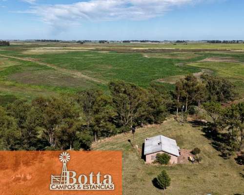 785has Mixtas en Venta en Carlos Casares