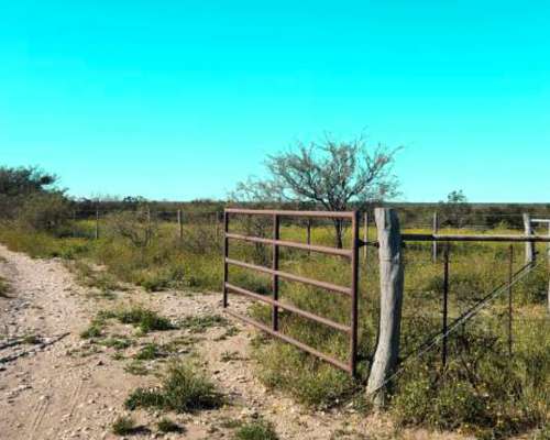 7.387 Ha Cuchillo CO, la Pampa