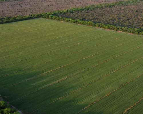 Santiago del Estero 370 Has Bien Agrícolas