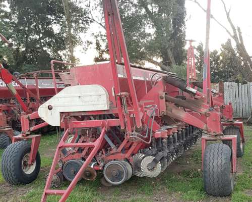 Semb G Fino Crucianelli Pionera III de 27 a 17.5
