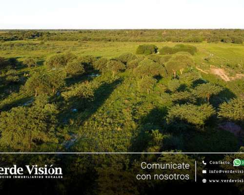 Campo Ganadero de 73 Has en Venta - Chaco Villa Berthet