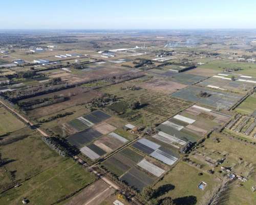 Campo en Excelente Ubicacion 100% Agricola, Cerca de Ruta 6