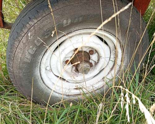 Vendo o Permuto Cisterna 2000lts