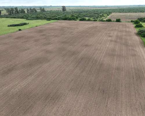 Santa Clara de Buena Vista, las Colonias, Santa FE - 179 Ha