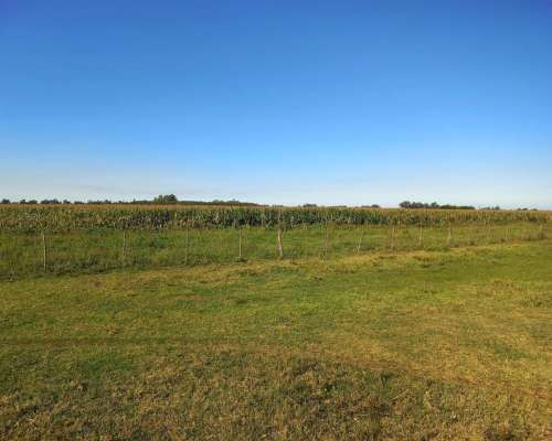 105 Has Mixtas en Nueve de Julio