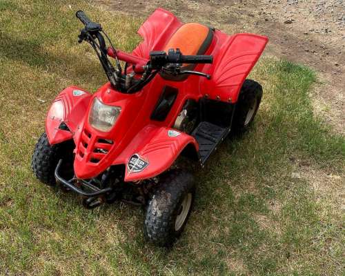 Cuatriciclo Panther 70cc Niño