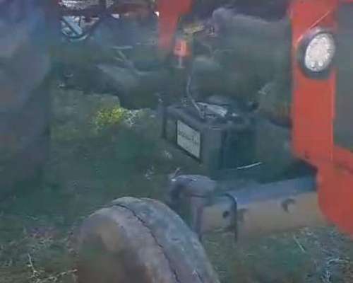 Agricola Tractor Massey Ferguson 165