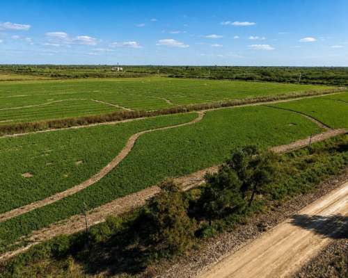 Fernández, Robles, Santiago del Estero - 1.098 Ha