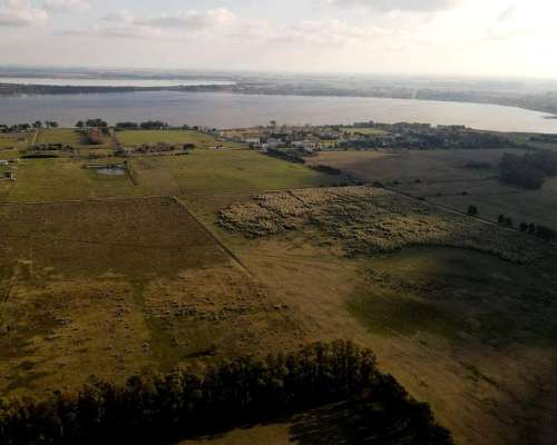 Venta Campo Sobre Ruta 41 San Miguel del Monte