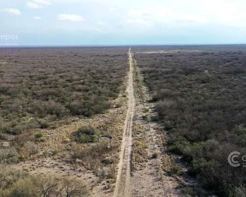 Se Vende Campo Ganadero de 3500 Ha en Mendoza, Argentina