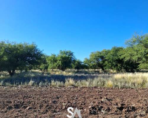 Vende: Campo Ganadero de 1.650 Hectáreas. Carro Quemado
