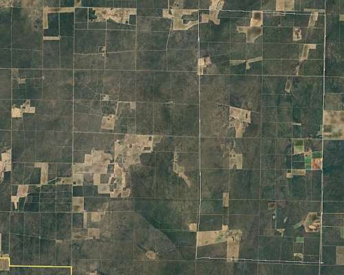 Telen la Pampa Argentina