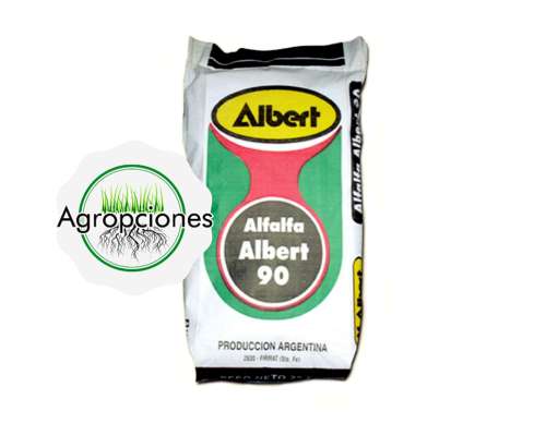 Semilla de Alfalfa Albert 90 - Criadero Albert Semillas