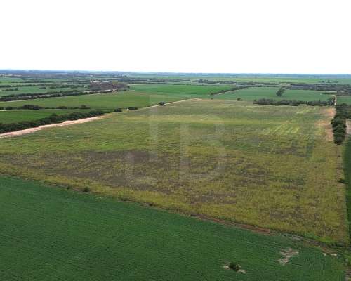 32 Has Agrícolas Lozada, Cordoba