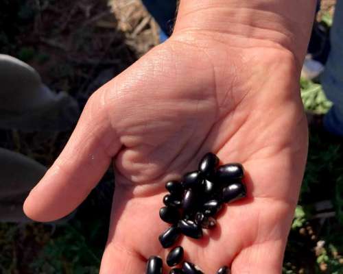 Finca 719 Has en Anta (salta) con Agua, Casa e Invernaderos