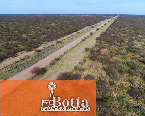Campo Ganadero en Venta, 3200has en Victorica, la Pampa