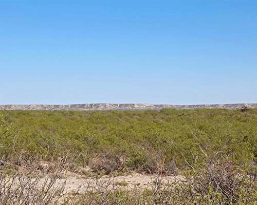 30.000 Ha Algarrobo del Aguila