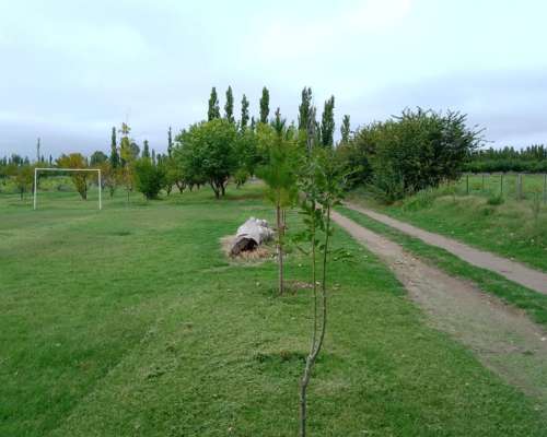 Venta 26 Has S/ruta Asfaltada 6 km G.alvear Mendoza REP ARG