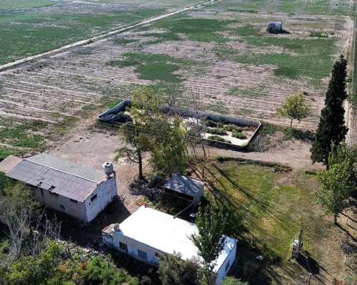 Finca en la Pega 25ha con Goteo