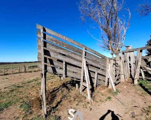 Se Vende Campo Ganadero de 415 en General Acha, la Pampa