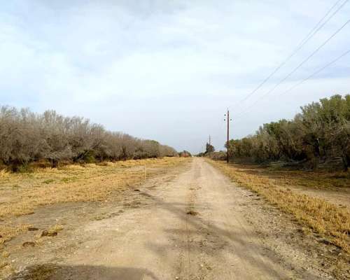250 HA. Campo en Catamarca con Olivos