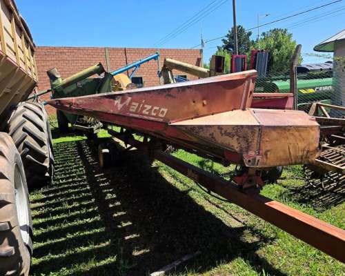 Girasolera Maizco de 12 a 70 cm